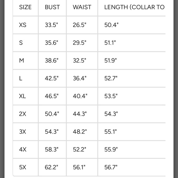 Lively Ghosts Bordeaux Dress 🩸 - Picture 6 of 11